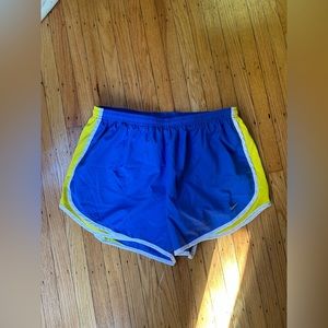 Nike Dri Fit Shorts